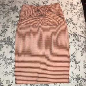 Trafaluc Zara Skirt